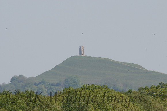 Glastonbury Tour