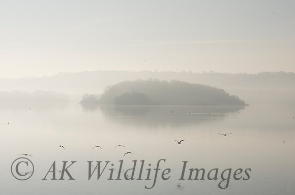 Chew Valley Lake