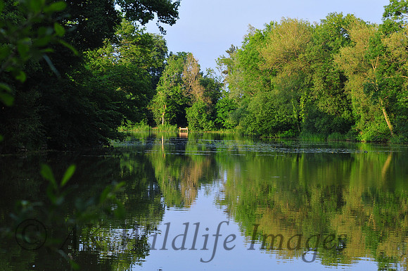 Hunstrete at Chelwood