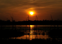 DSC_5932_2