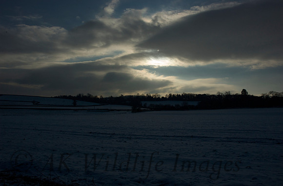 DSC_6372_2